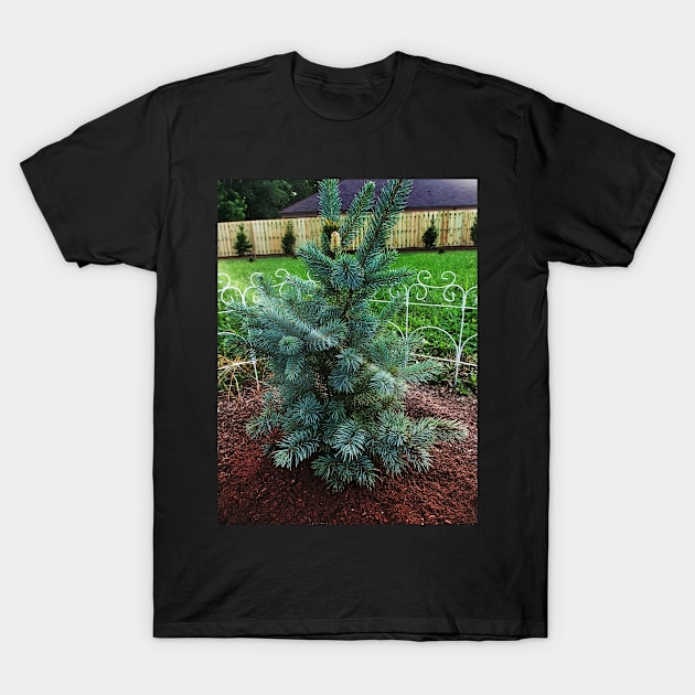 Little Blue Pine T-Shirt by PandLCreations